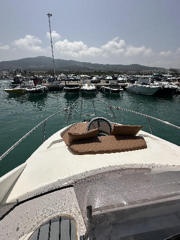 IMG_4206.jpeg