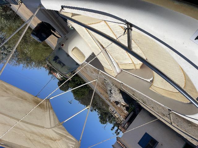 IMG-2715.jpg