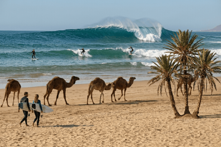 Surf au Maroc : Les 10 meilleurs spots 